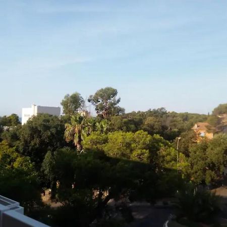 Mer Et Soleil Saint-Raphael  Ngoại thất bức ảnh
